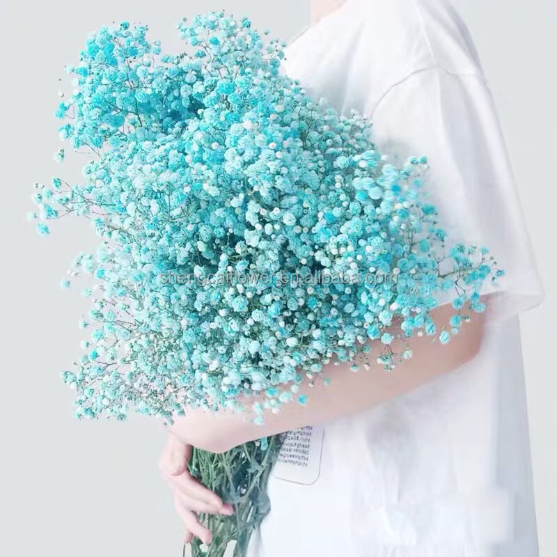 Wholesale Gypsophila Bouquet Dried Flower Preserved Babys Breath Flowers White Color For Wedding or House decoration