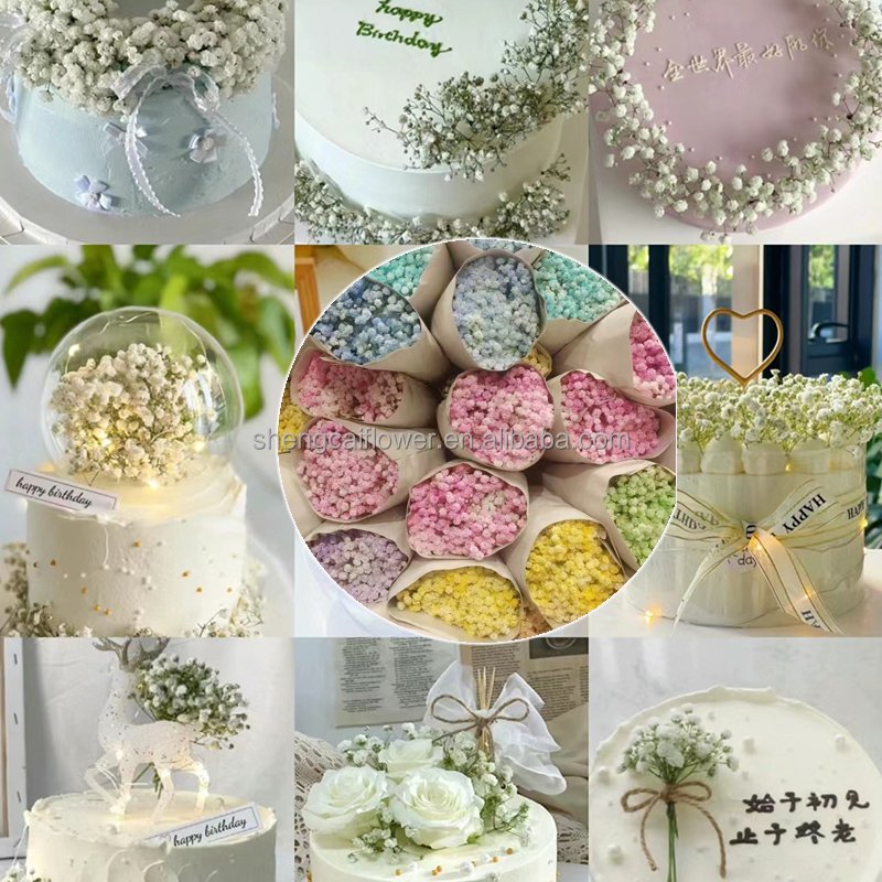 Wholesale Gypsophila Bouquet Dried Flower Preserved Babys Breath Flowers White Color For Wedding or House decoration
