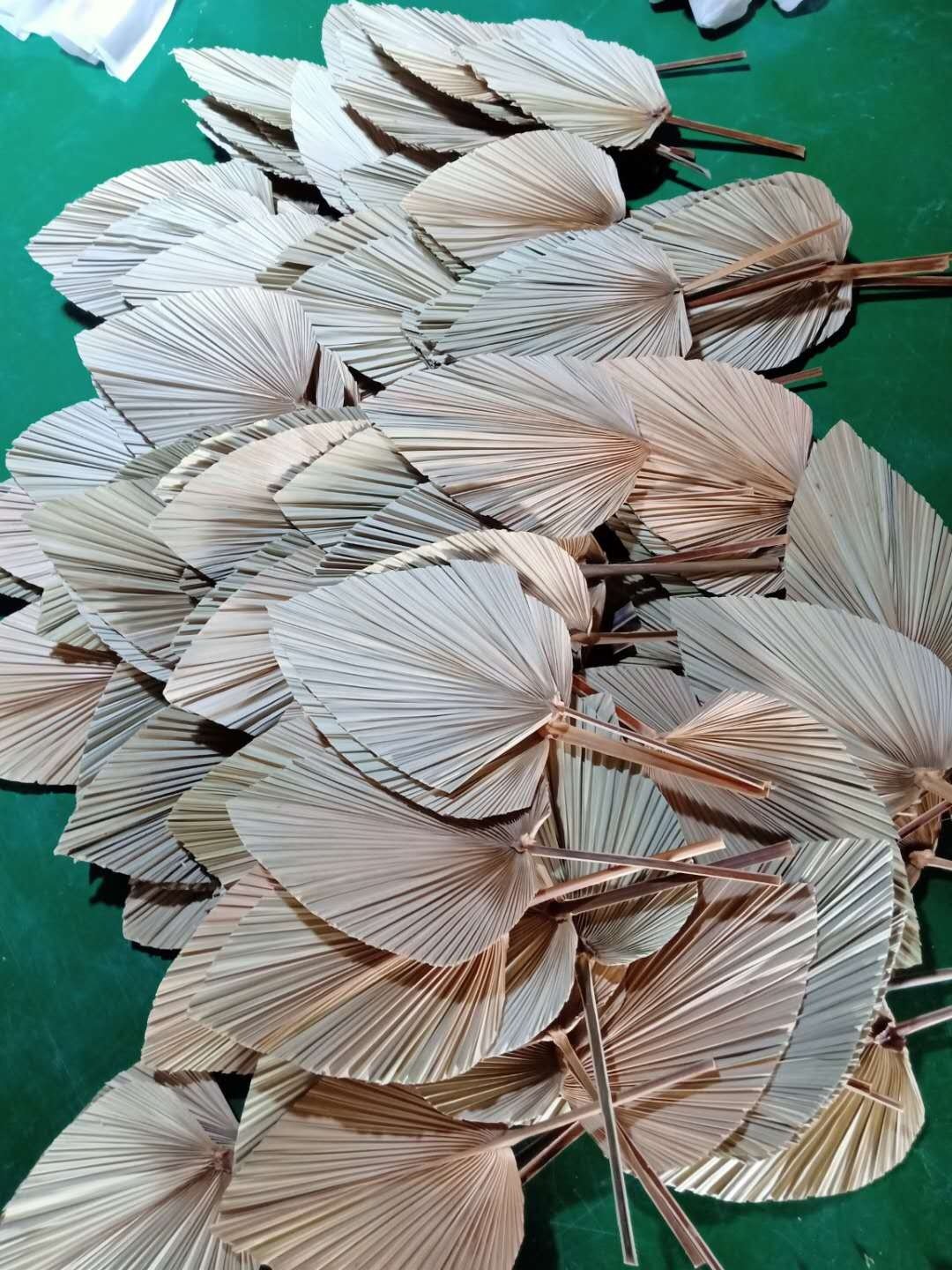 dried natural spear palm leaves flower top quality best and original supplier