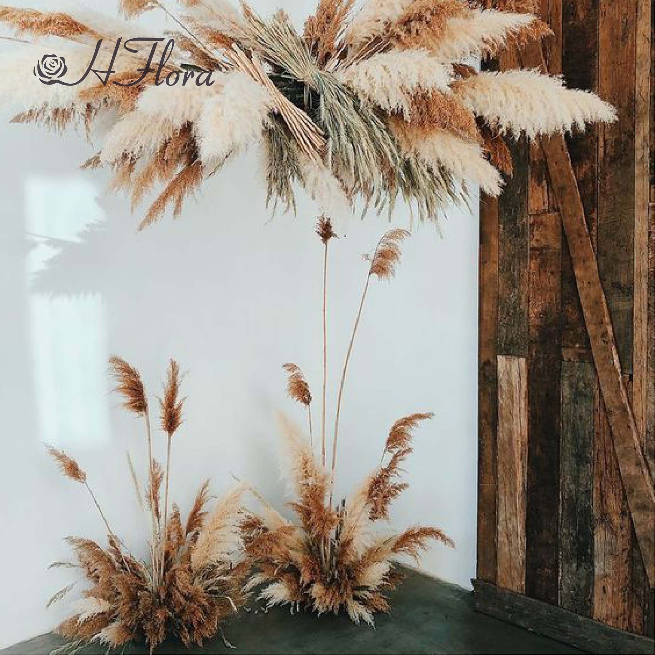 HFloral Wholesale Dried Pampas Grass Dried Flowers And Plants Bouquet Boho Decor For Home Decoration