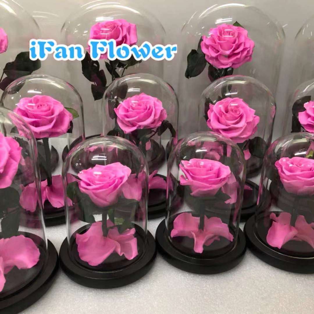 Hot-selling rose preserved rose in glass Decoration flowers in Glass wholesales selling
