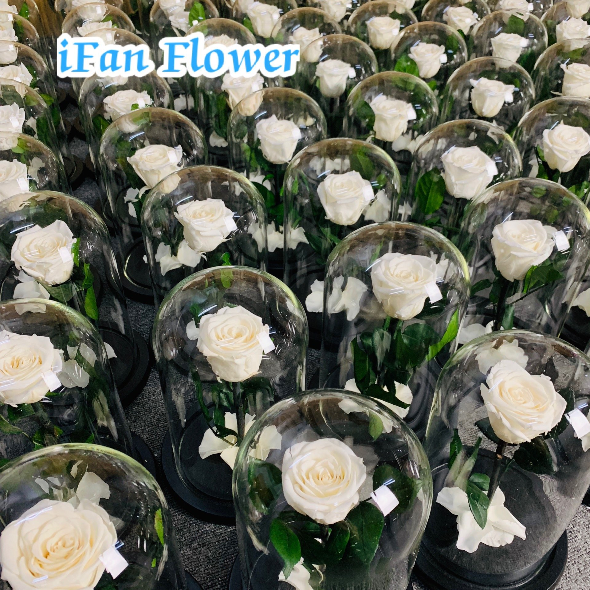 Hot-selling rose preserved rose in glass Decoration flowers in Glass wholesales selling