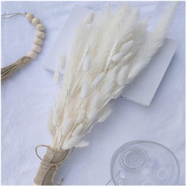 G57 Boho Flowers Home Table Decor Handpicked Bunch White Bunny Tails Dried Flowers 17inch Dried Pampas Grass Decor Bunny Tails