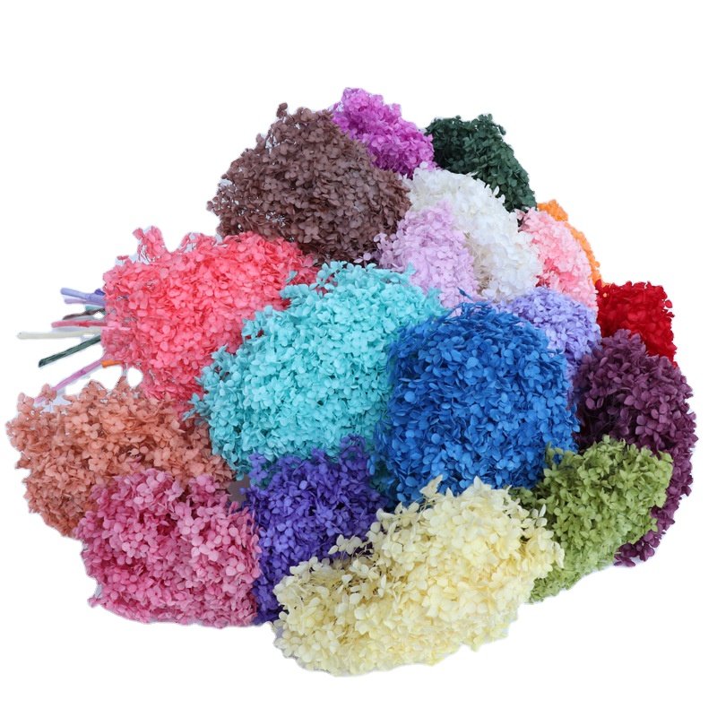 DIY Material Amazon Hot Selling 2023 Immortal Preserved Hydrangea Flower for Wedding Decoration Home Decor