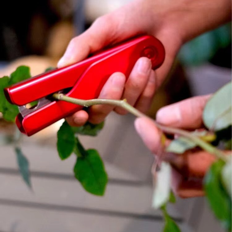 HUAZHIYUAN Decorative Flowers & Plants Sharpening Tongs for Treasures Used to Stab Weapons