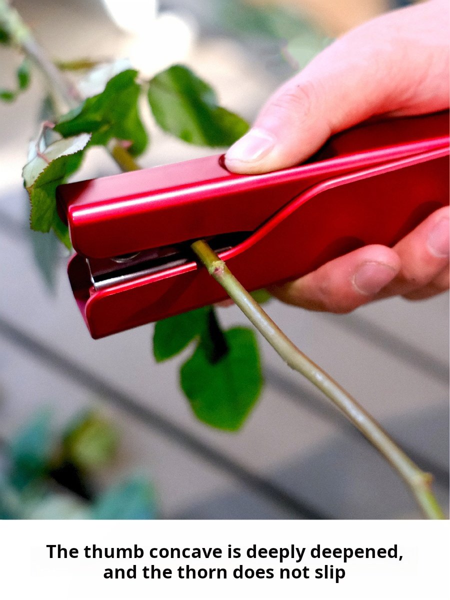 HUAZHIYUAN Decorative Flowers & Plants Sharpening Tongs for Treasures Used to Stab Weapons