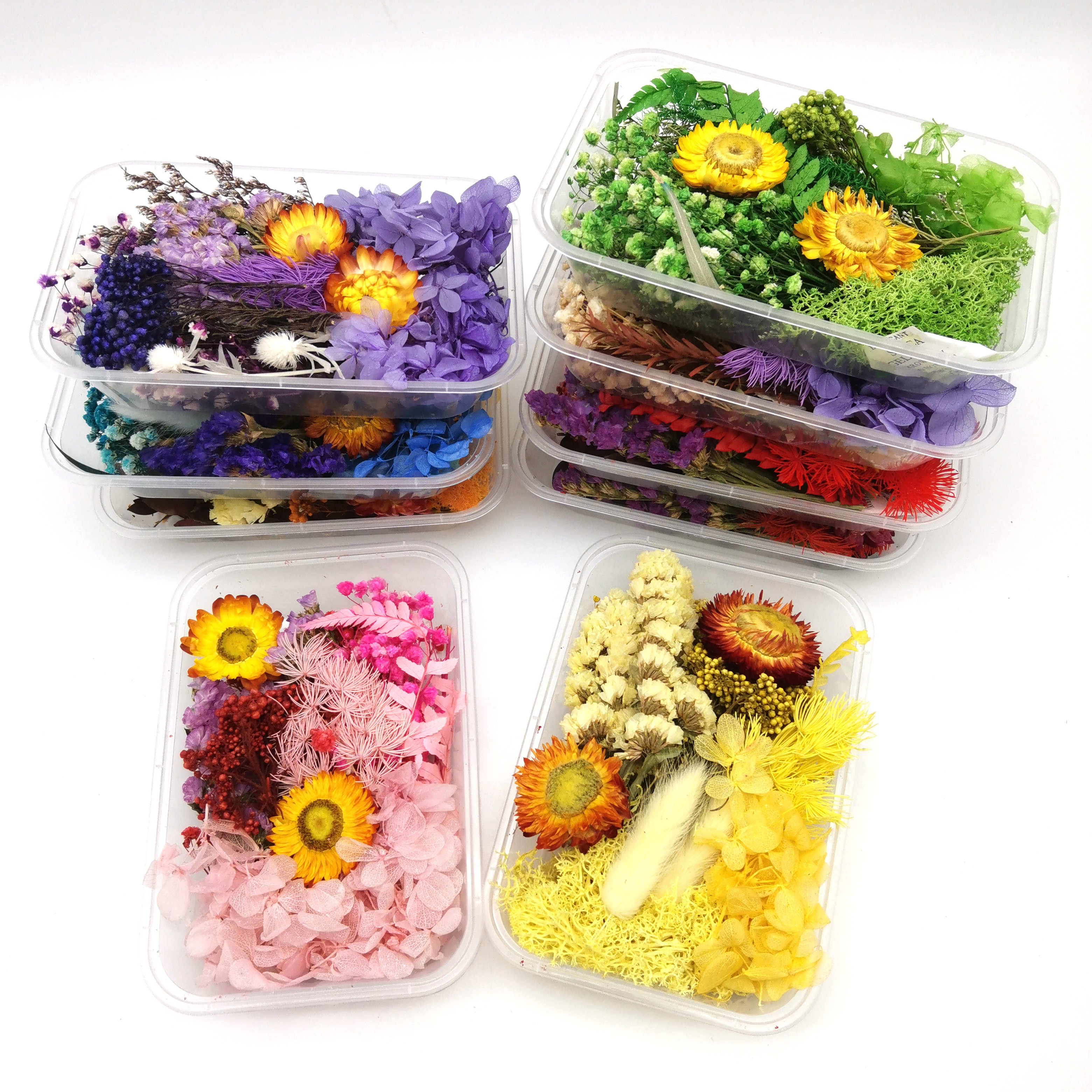 DIY Random Flowers in Box With competitive price Dried Flower for Resin Art Photo Frames