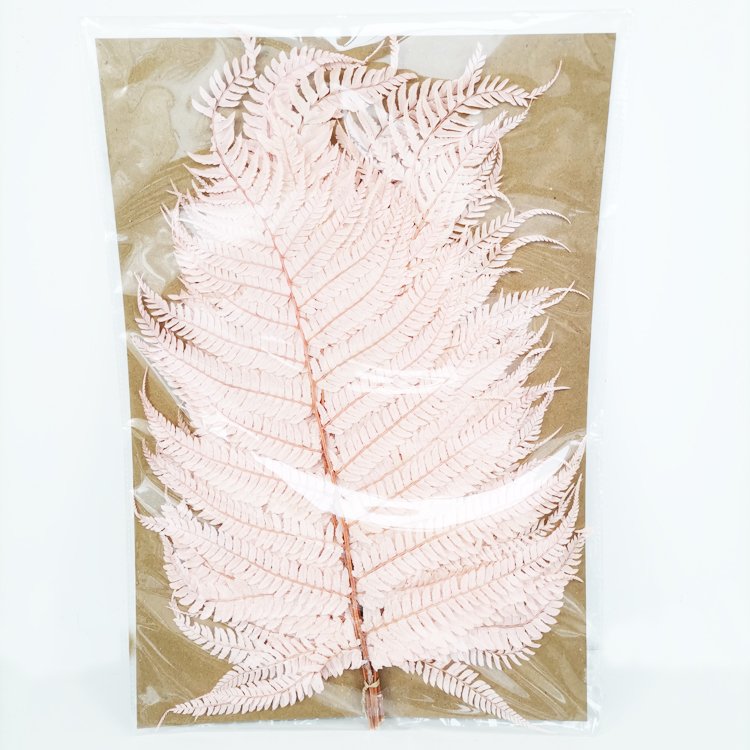 SumFlora Hot sale high quality new dried beauty herbal flowers for wedding decoration preserved flower big fern leaf