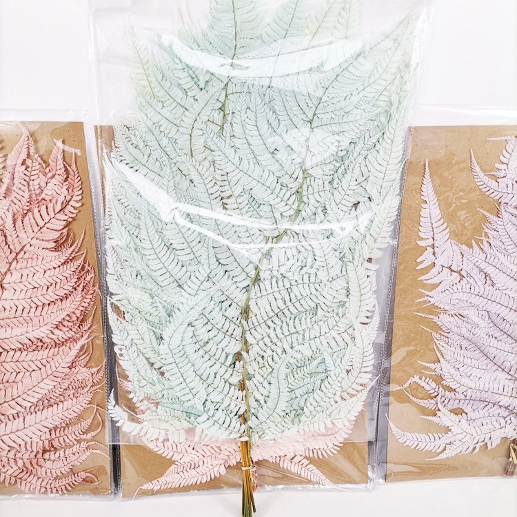 SumFlora Hot sale high quality new dried beauty herbal flowers for wedding decoration preserved flower big fern leaf