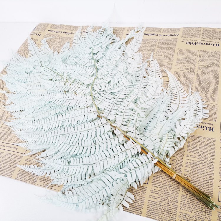 SumFlora Hot sale high quality new dried beauty herbal flowers for wedding decoration preserved flower big fern leaf