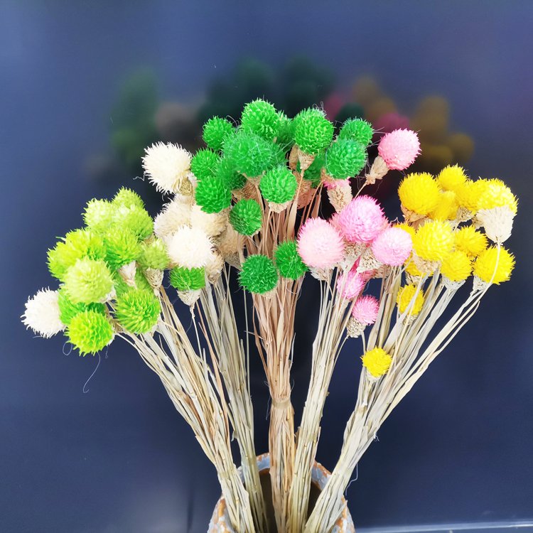 SumFlora Factory Hot Sales Dry Flower Long Stem flowers globe amaranth for home decor