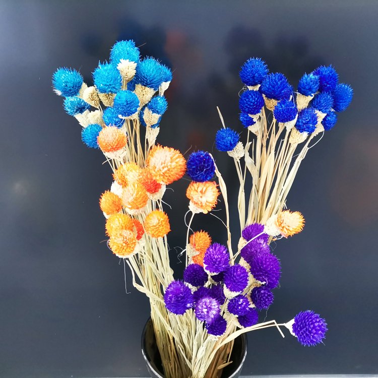 SumFlora Factory Hot Sales Dry Flower Long Stem flowers globe amaranth for home decor