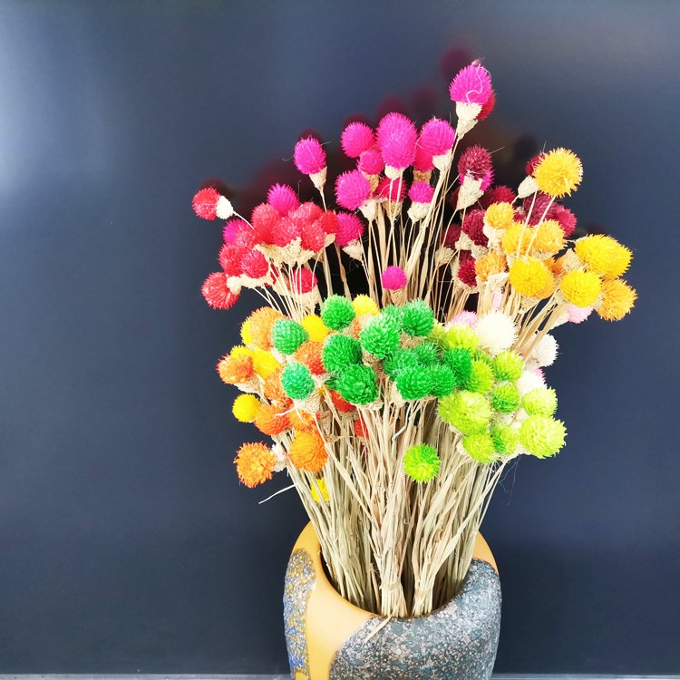 SumFlora Factory Hot Sales Dry Flower Long Stem flowers globe amaranth for home decor