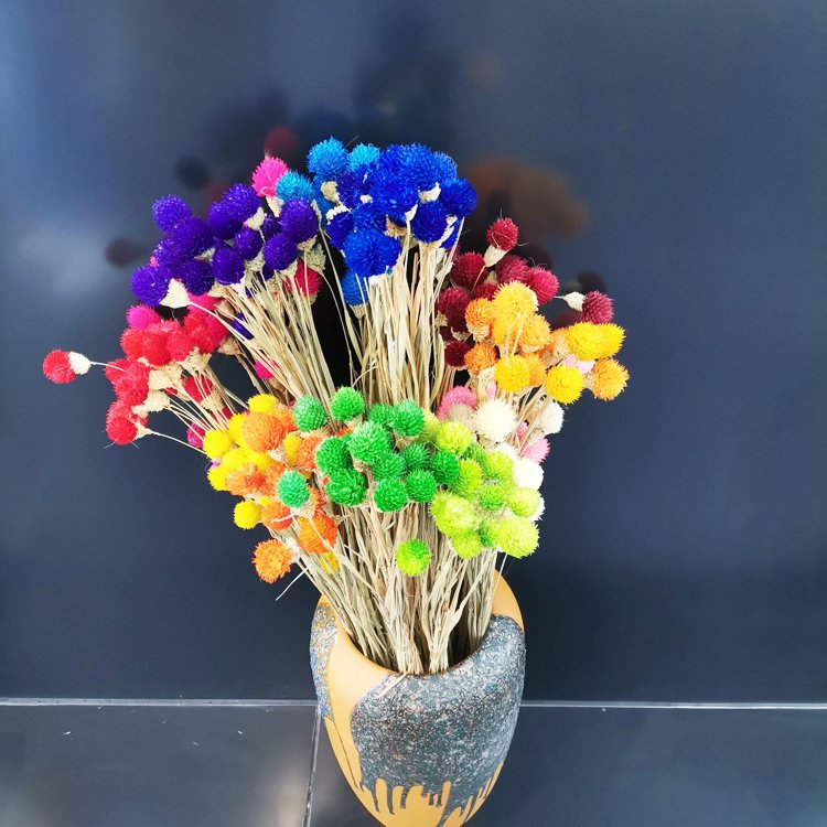 SumFlora Factory Hot Sales Dry Flower Long Stem flowers globe amaranth for home decor