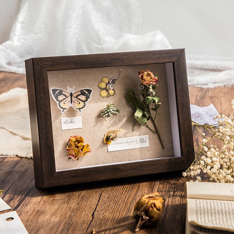 Best Selling Dried Flower DIY Display Case Wood Frame Blank Shadow Box Best Selling Cheap Price