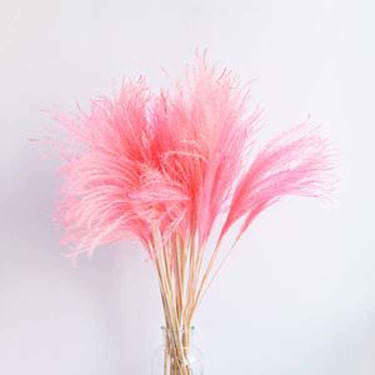 Sumflora Kunming factory supply Best Gift natural white jade Christmas flowers plants dried flowers hossu grass