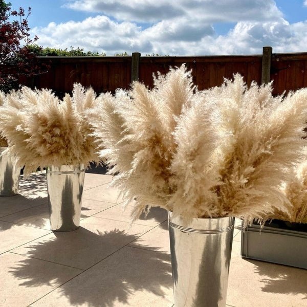 Free Sample Natural Pampas Ali Bestsellen Cheap Dried Flower Arrangement Large Fluffy Decor Grass Pampas for Wedding Bouquet
