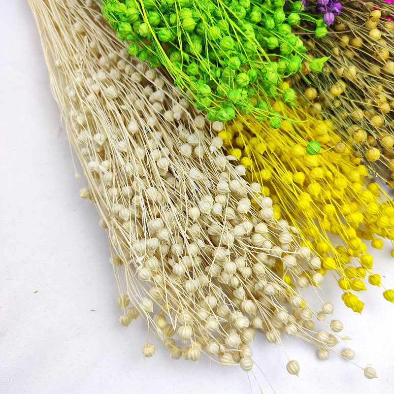 Dried Acacia Rich Beans Boho Decor Preserved Hypericum Berries Dried Linum Natural Flax Bunch Natural Dried Flowers