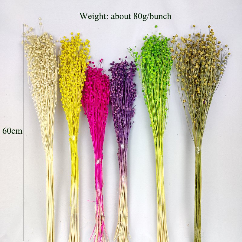 Dried Acacia Rich Beans Boho Decor Preserved Hypericum Berries Dried Linum Natural Flax Bunch Natural Dried Flowers