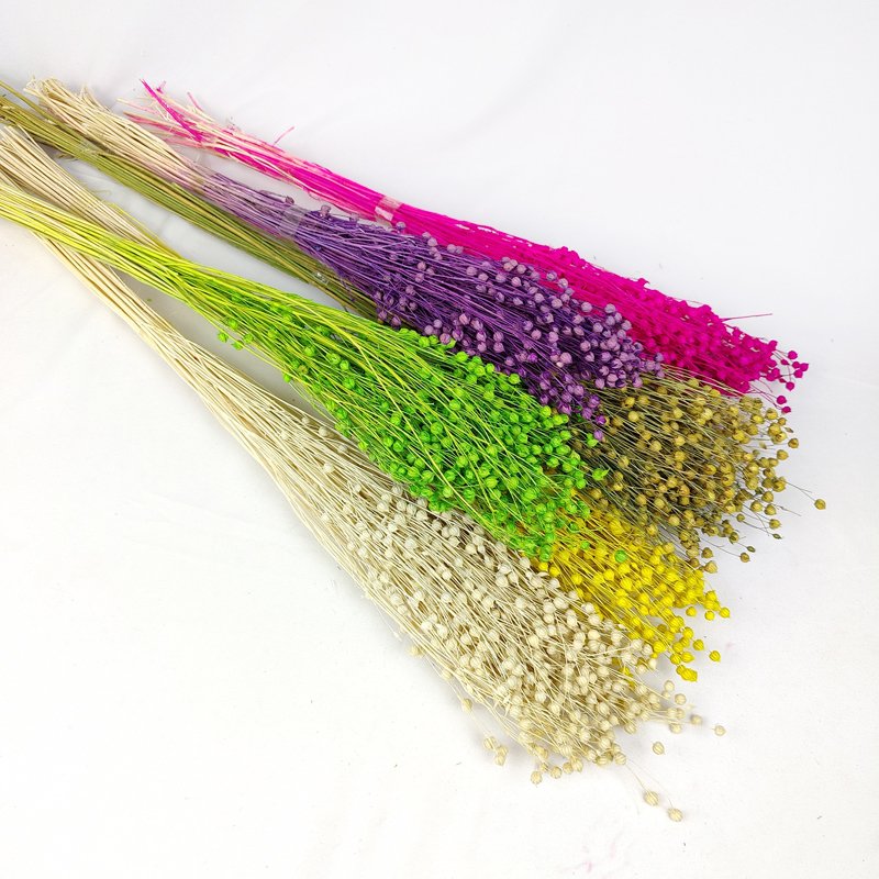 Dried Acacia Rich Beans Boho Decor Preserved Hypericum Berries Dried Linum Natural Flax Bunch Natural Dried Flowers