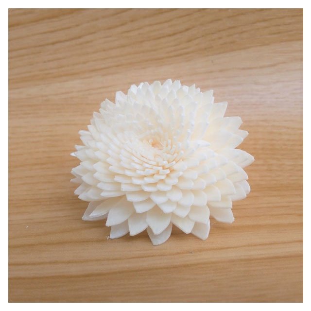 Gerbera Sola Wood Flowers Artificial Dried Wholesale Handicraft Home Decor Decoration Thailand Reed Diffuser