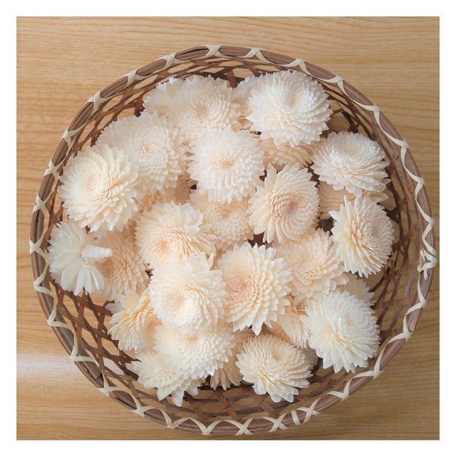 Gerbera Sola Wood Flowers Artificial Dried Wholesale Handicraft Home Decor Decoration Thailand Reed Diffuser
