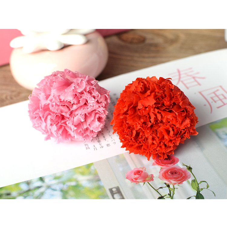 Wholesale real natural carnation heads dried carnation preserved flower as decoration