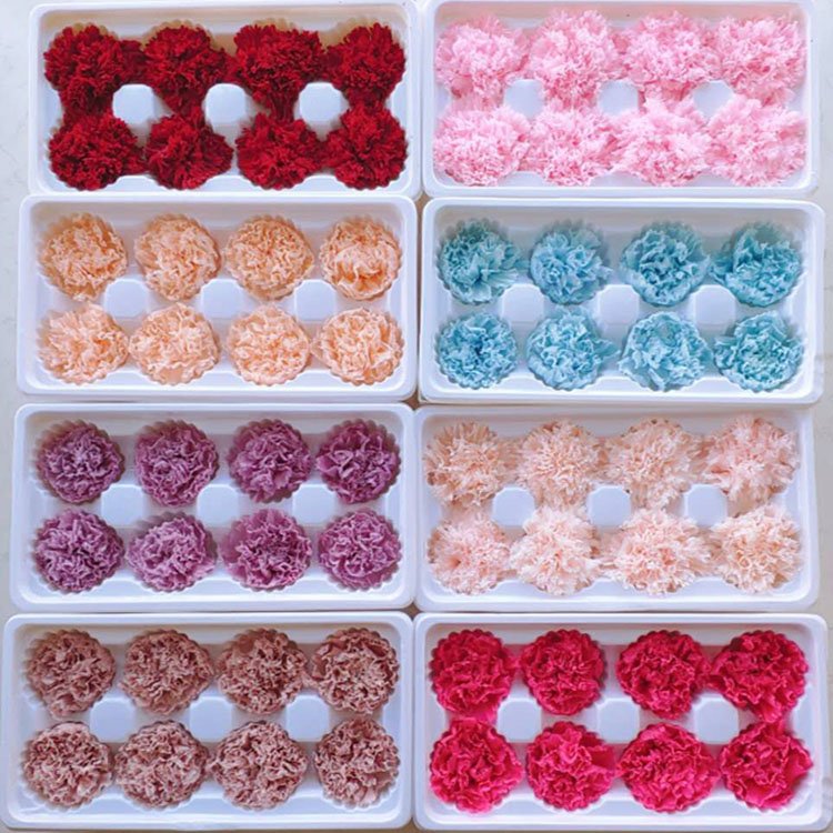 Wholesale real natural carnation heads dried carnation preserved flower as decoration