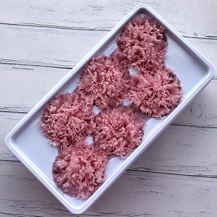 Wholesale real natural carnation heads dried carnation preserved flower as decoration