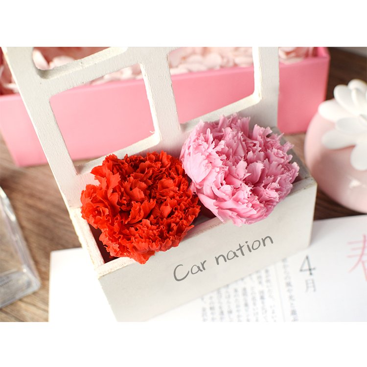 Wholesale real natural carnation heads dried carnation preserved flower as decoration