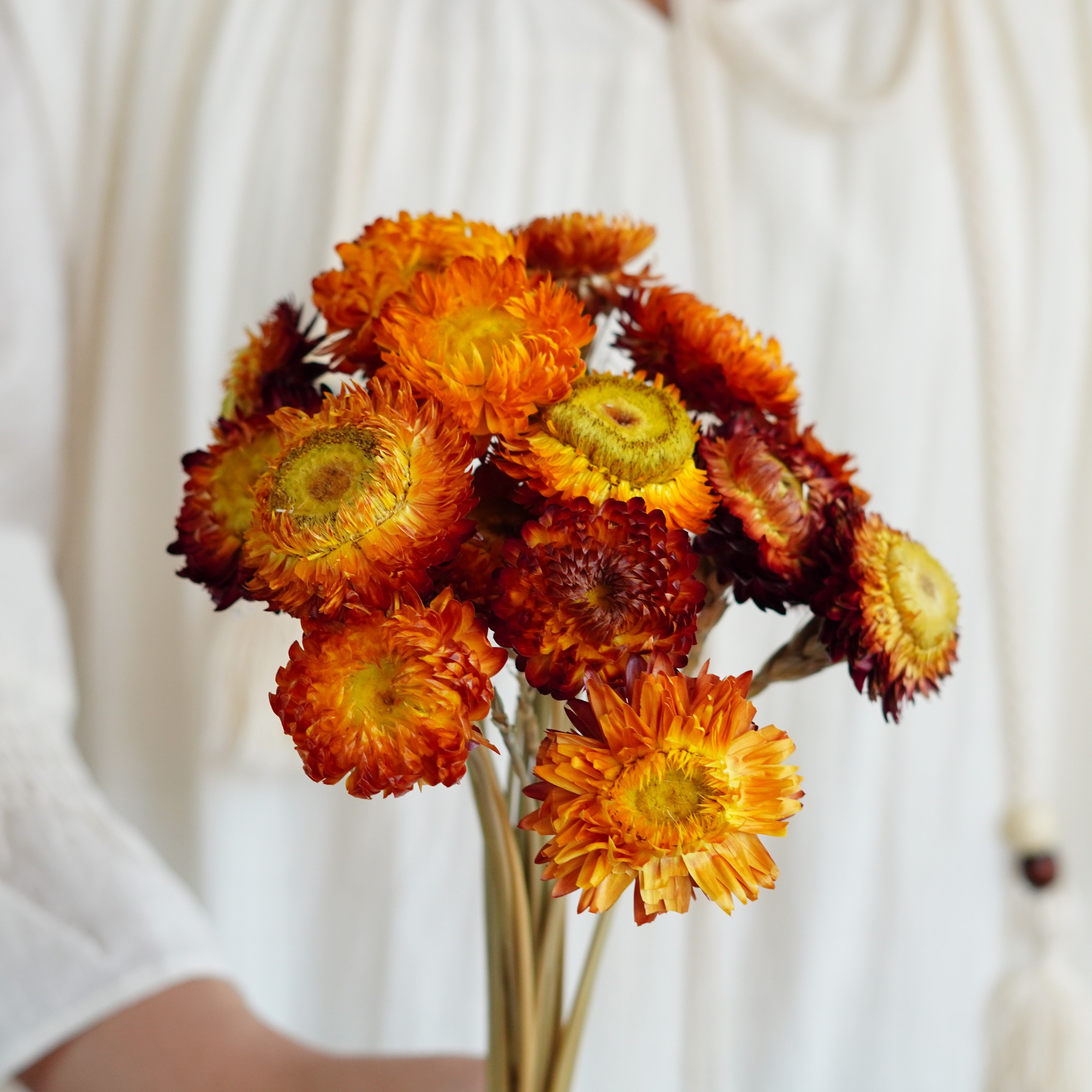 Dried Strawflower Stems for decor, arrangements, centerpieces, wreaths,Dry Daisy/Chrysanthemum Bouquet