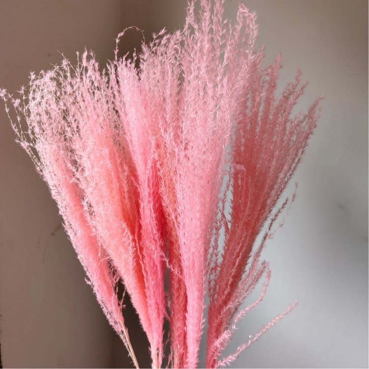 Top Beautiful Small Wreath-Shaped Whisk Flower Preserved Real Plant Material Home Flower Arrangement Room Weddings Easter