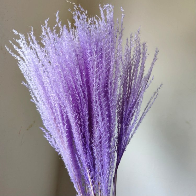 Top Beautiful Small Wreath-Shaped Whisk Flower Preserved Real Plant Material Home Flower Arrangement Room Weddings Easter