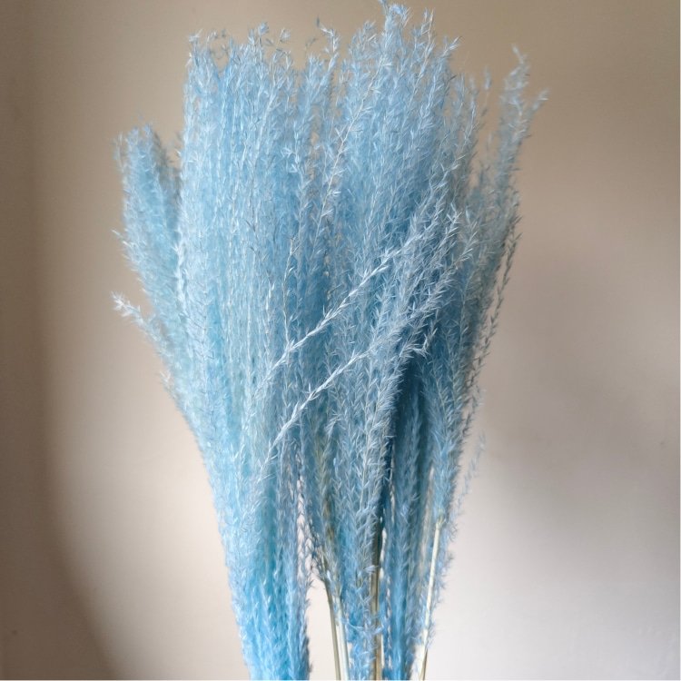 Top Beautiful Small Wreath-Shaped Whisk Flower Preserved Real Plant Material Home Flower Arrangement Room Weddings Easter