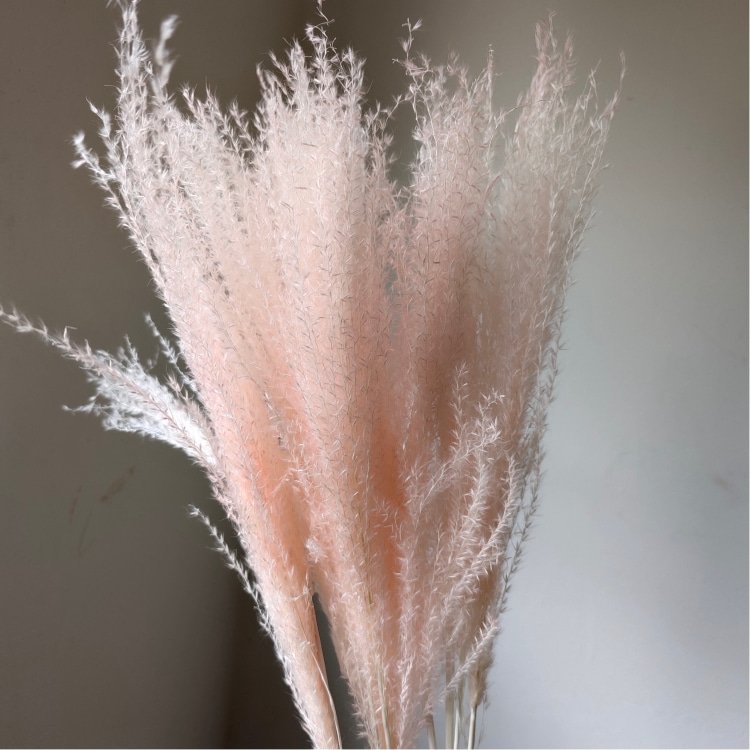 Top Beautiful Small Wreath-Shaped Whisk Flower Preserved Real Plant Material Home Flower Arrangement Room Weddings Easter