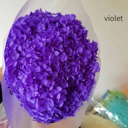 Vilot