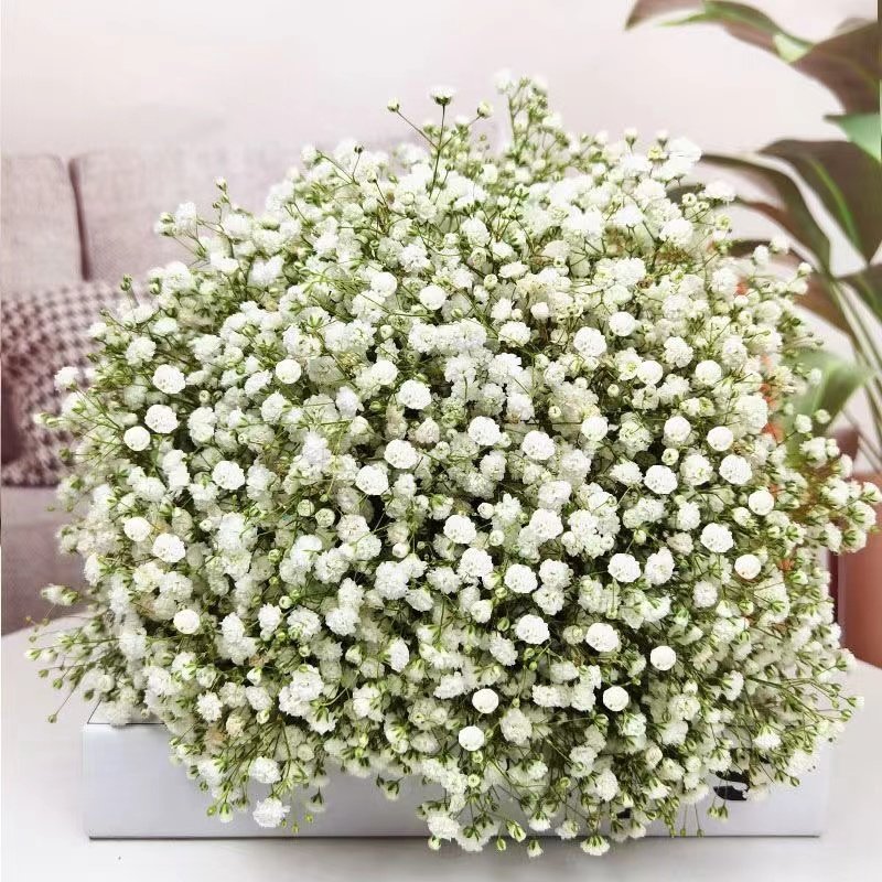 Yunnan hot flower bouquet Gypsophila bouquet packaging home decoration flower arrangement