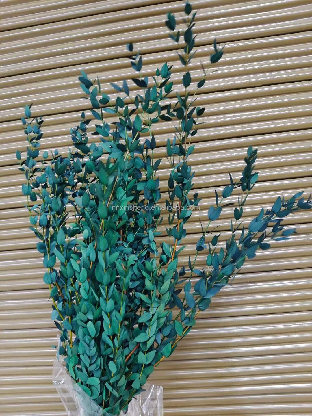 tear drop eucalyptus preserved real flowers and plants natural green color dried flowers preserved eucalyptus for bouquet