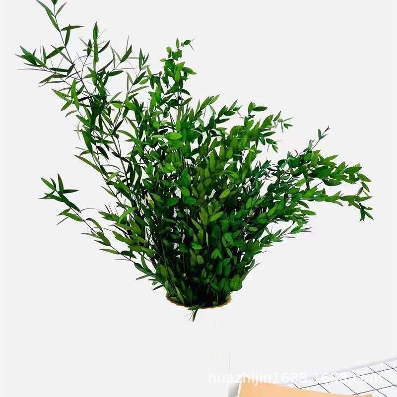 tear drop eucalyptus preserved real flowers and plants natural green color dried flowers preserved eucalyptus for bouquet