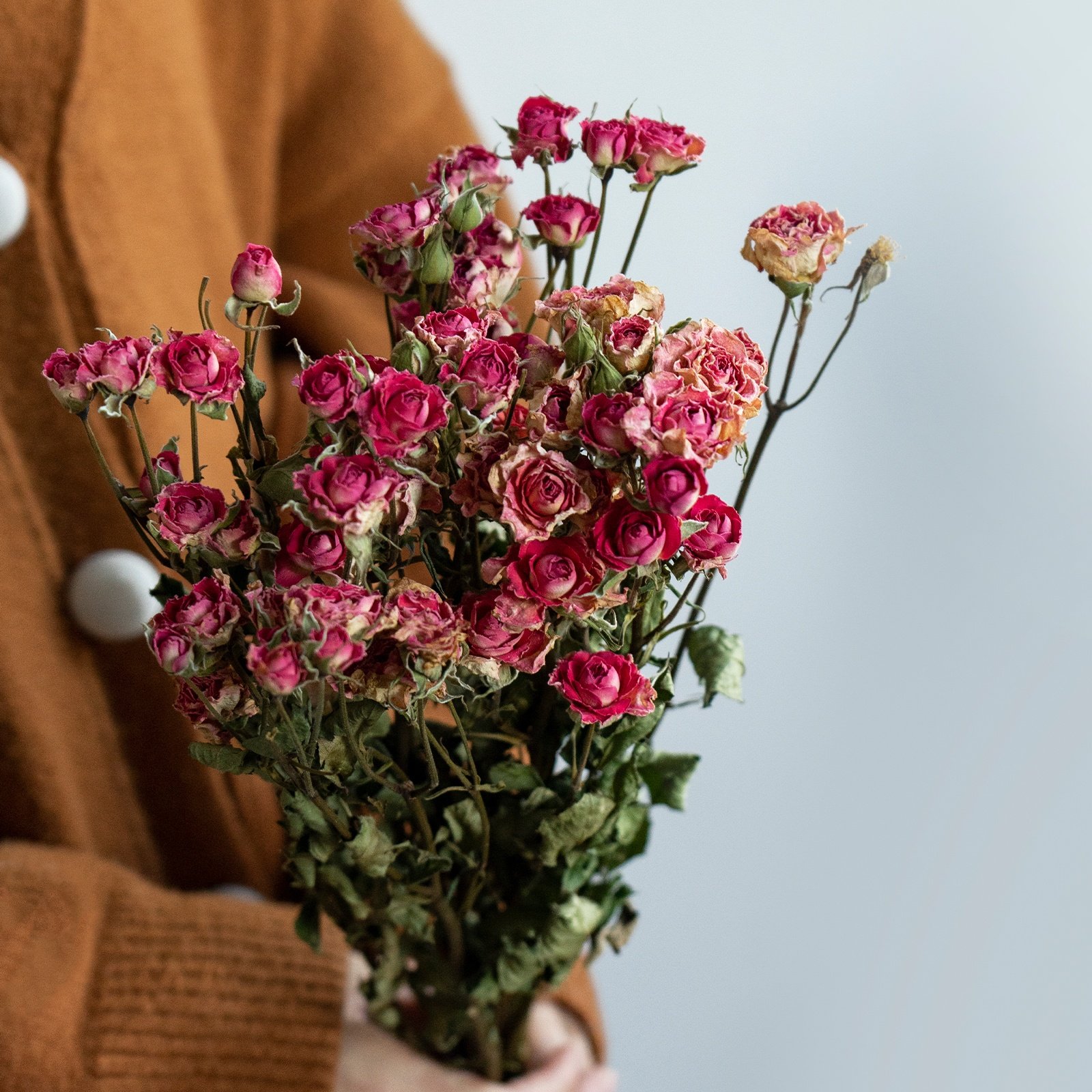UKIQUEEN Dried Flower Red Roses One Bunch Natural Dried Roses with Stem for Home Decor