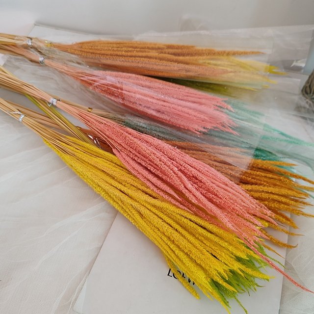 White Preserved goldenrod grass Dried pampas Craft Supplies Floral Home Wedding Decor Florals for Vase DIY Flowers