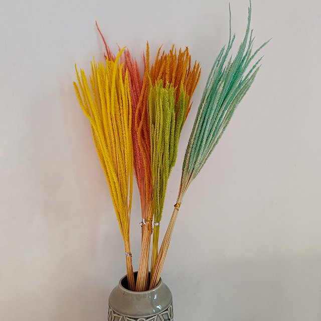 White Preserved goldenrod grass Dried pampas Craft Supplies Floral Home Wedding Decor Florals for Vase DIY Flowers