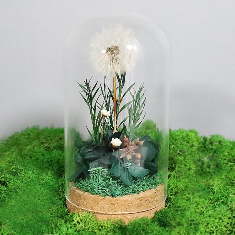Hot Sale Preserved Dandelions With Flowers Plants Decor Eternal Dandelions In Glass Dome