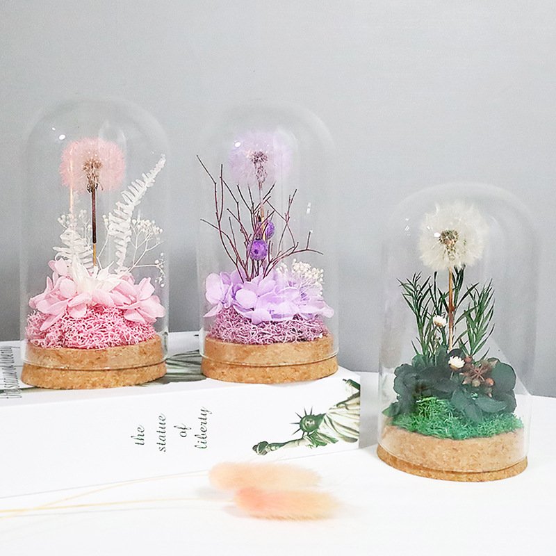 Hot Sale Preserved Dandelions With Flowers Plants Decor Eternal Dandelions In Glass Dome