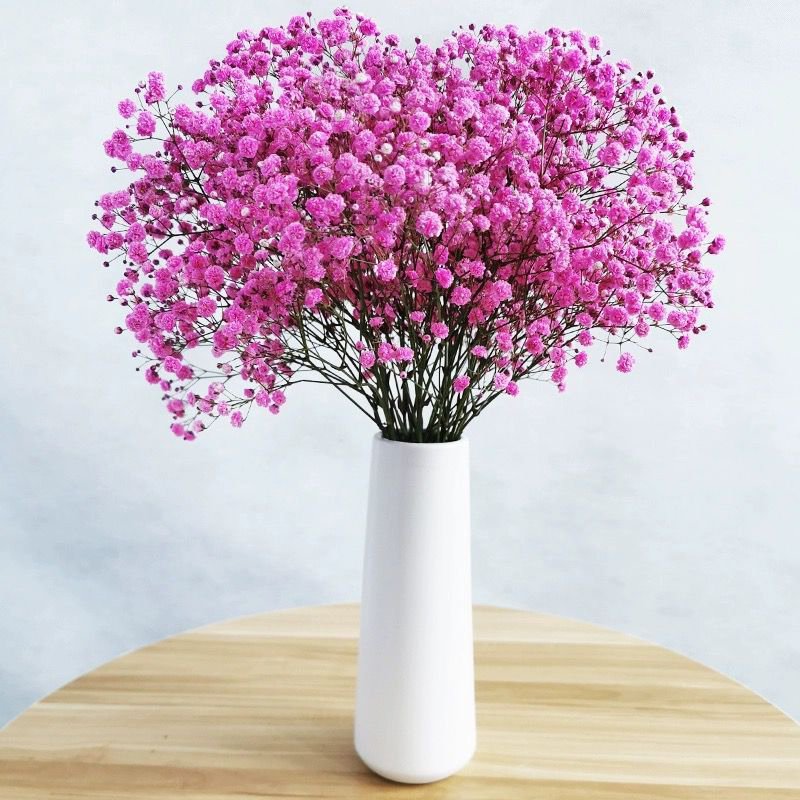 Real touch flowers and plants Baby Breath Dried Natural Dry decoration gysopholia Bouquet Rustic Bundles Floral Arrangements