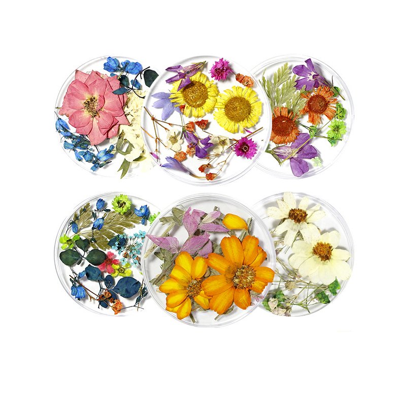Mixed Colors Natural Pressed Dry flower Various Real Leaf Decoration Mini Nail Art dried flowers For UV Gel Decoration