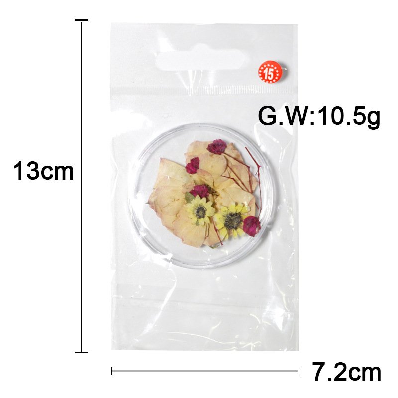 Mixed Colors Natural Pressed Dry flower Various Real Leaf Decoration Mini Nail Art dried flowers For UV Gel Decoration