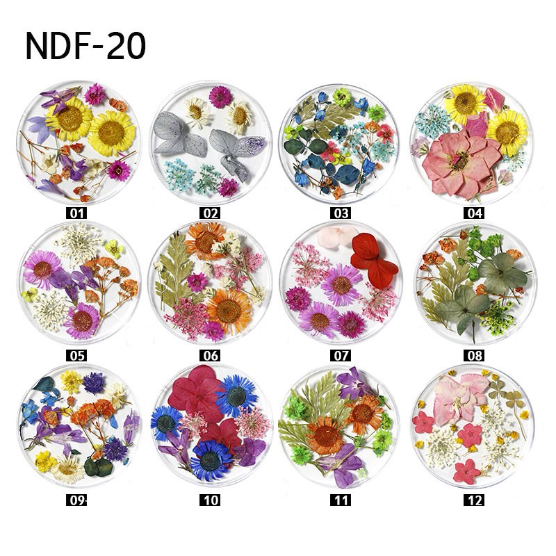 Mixed Colors Natural Pressed Dry flower Various Real Leaf Decoration Mini Nail Art dried flowers For UV Gel Decoration