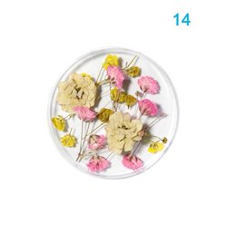 14#