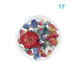17#